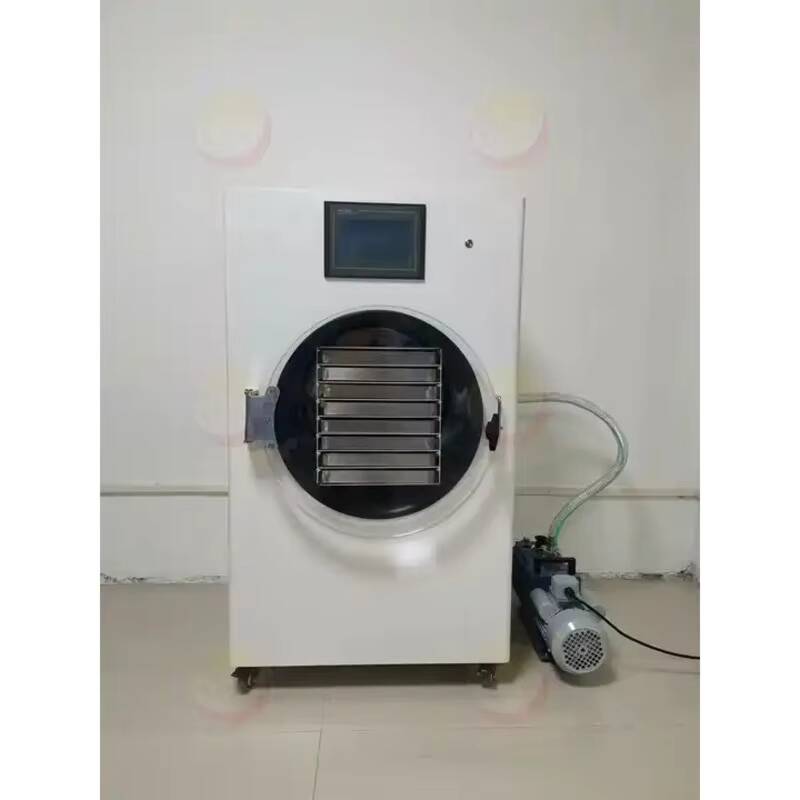 Vacuum Chamber Small - Machine de lyophilisation petit laboratoire sous