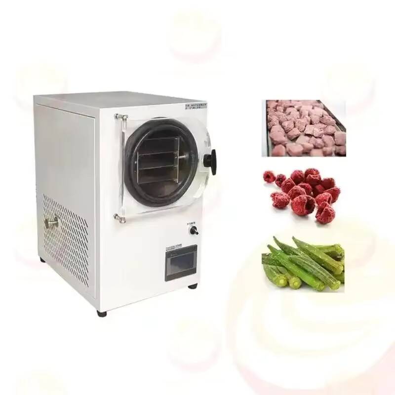 Machine de lyophilisation peti - Vacuum Chamber Small avis et prix